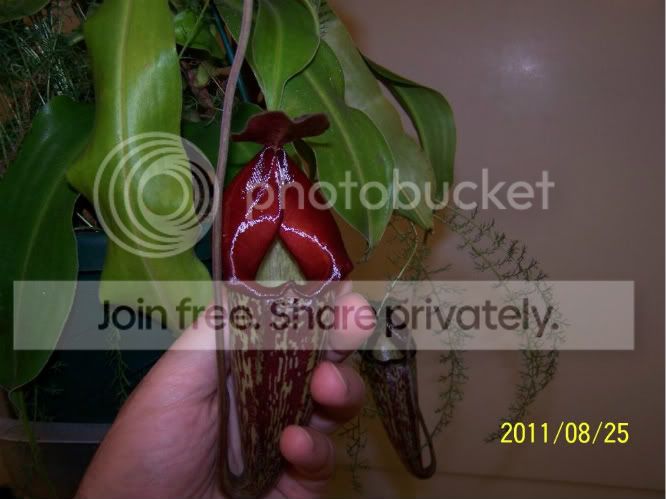 100_5125.jpg