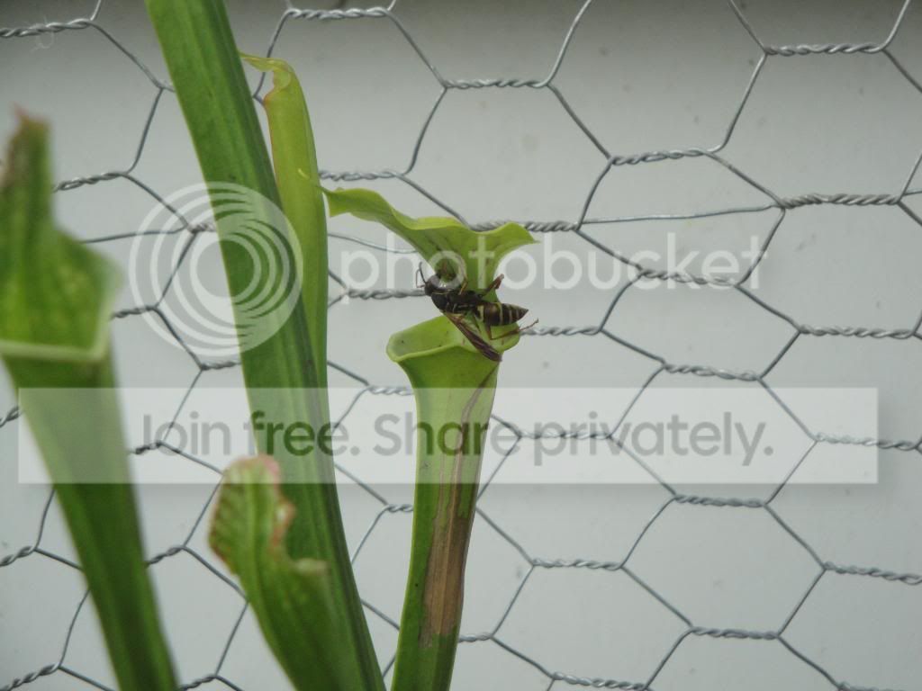 DSC03500.jpg