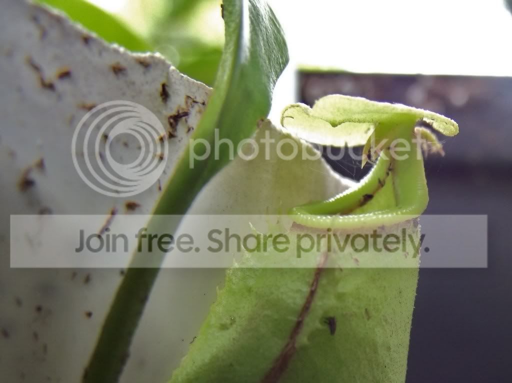 DSCF4979.jpg