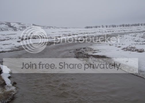 DSCF2575.jpg