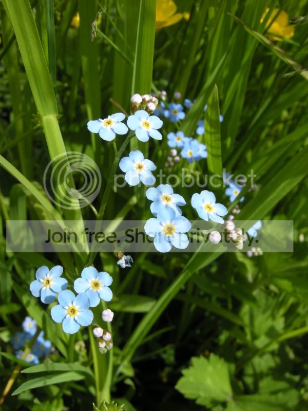 DSCN6071.jpg