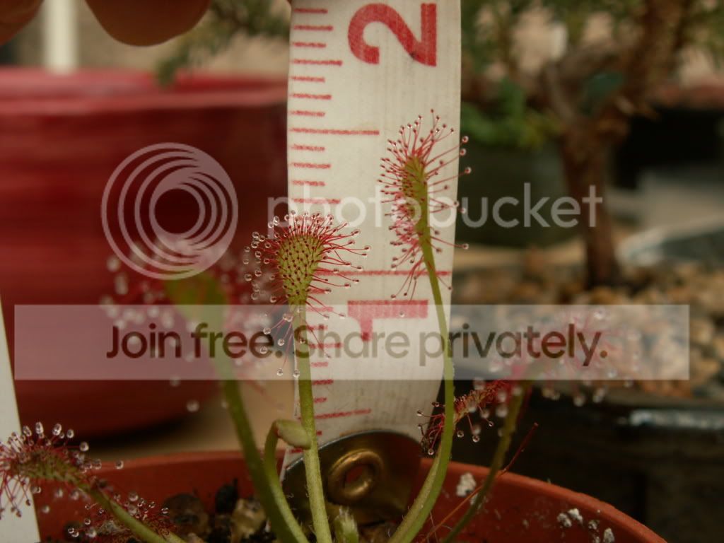PICT0001.jpg