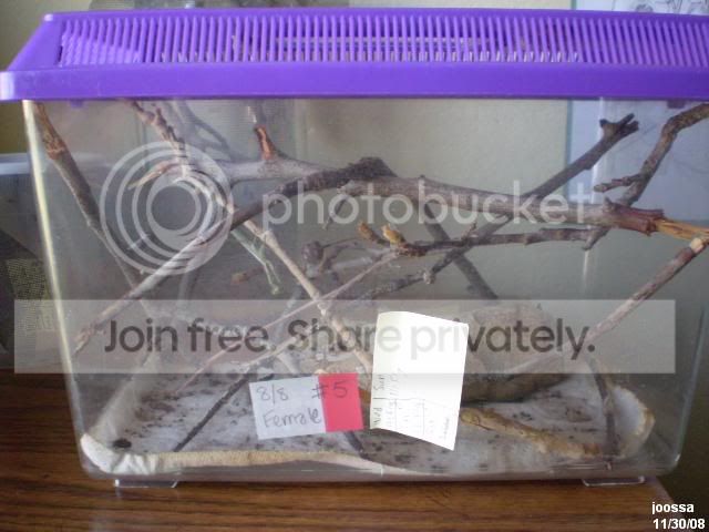 PPB300145.jpg