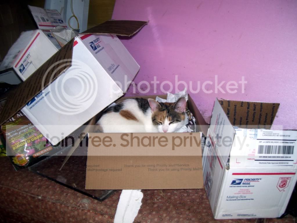 100_4882.jpg