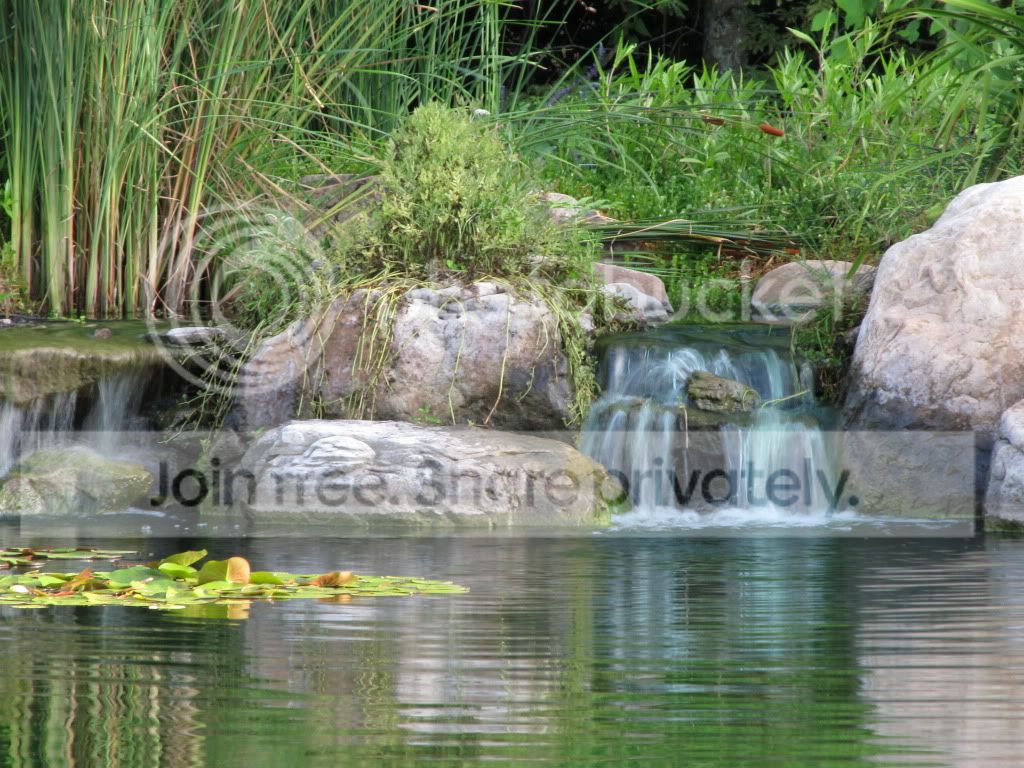 IMG_6529.jpg