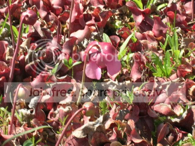 DSCN0291.jpg