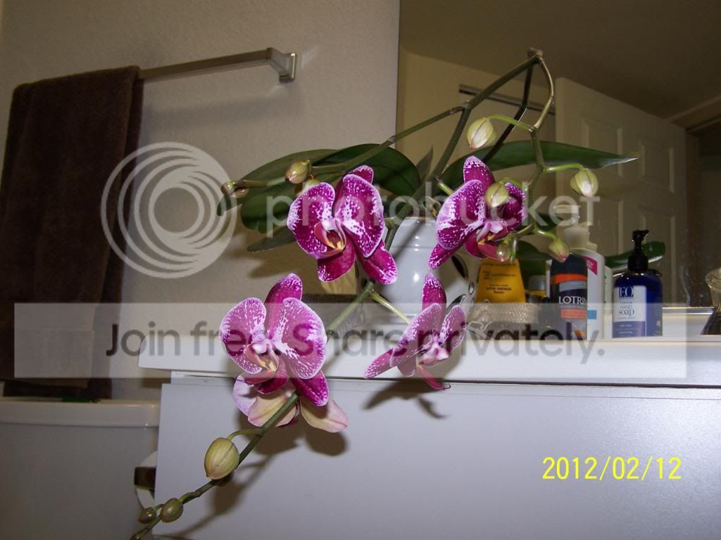 100_5820.jpg