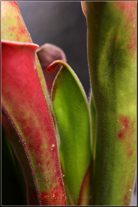 DPP_0152_hf.jpg