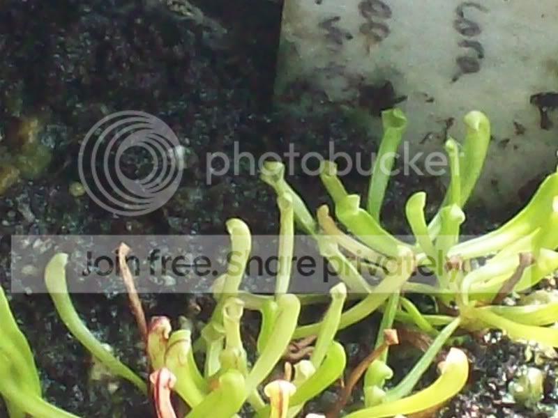 100_9681.jpg