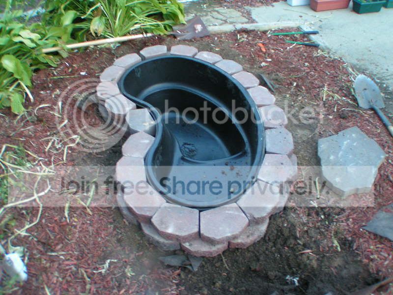 PICT1029.jpg