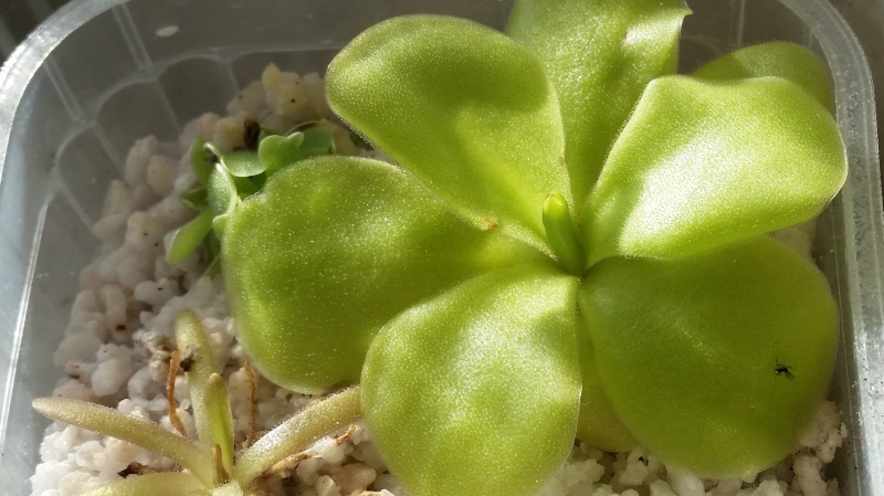 20130115.jpg