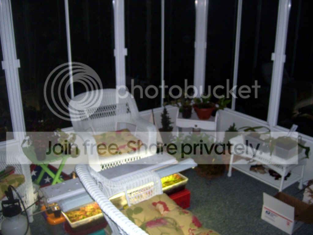 100_5460.jpg