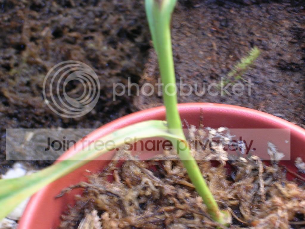 DSCN3716.jpg