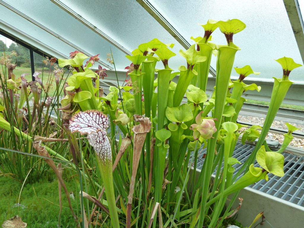 kewgardens300812039.jpg