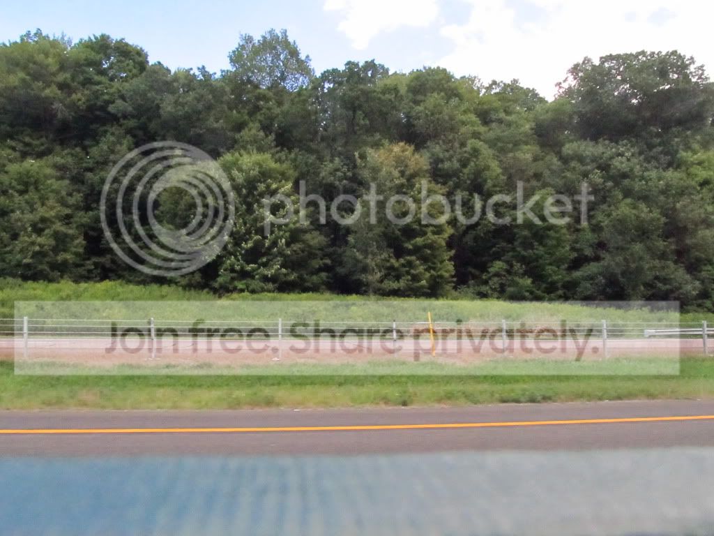 IMG_8985.jpg