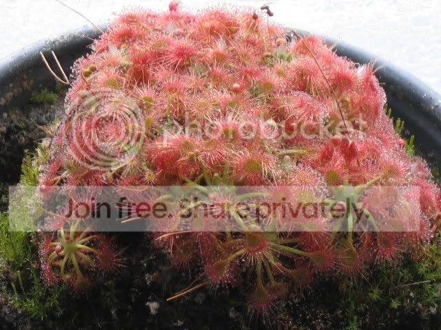 IMG_0418.jpg