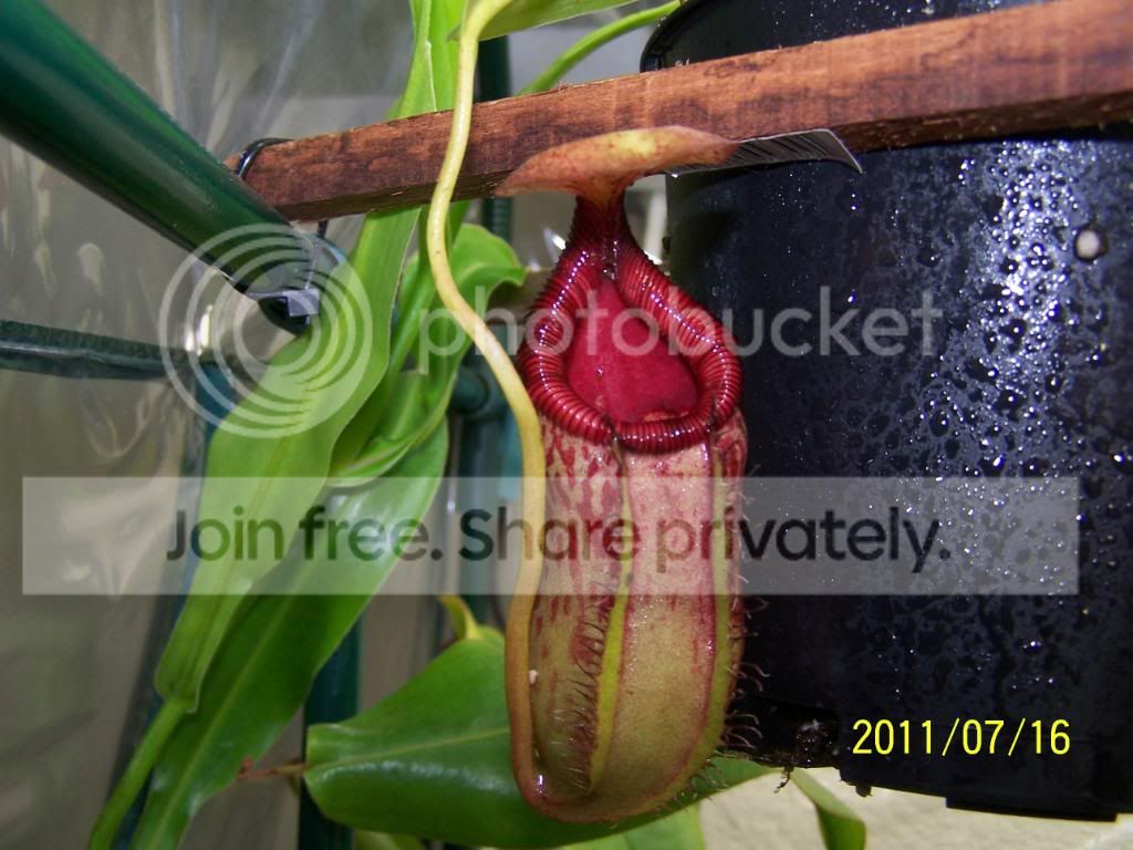 100_4831.jpg