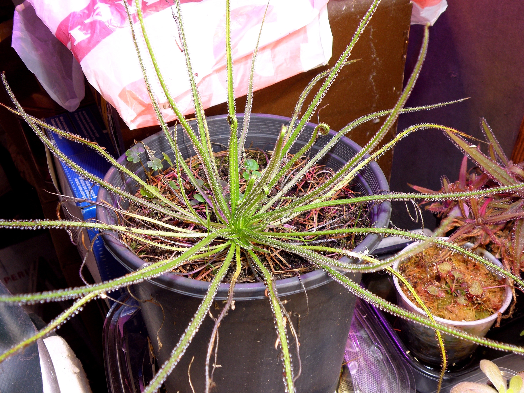 PB270357-v01.jpg