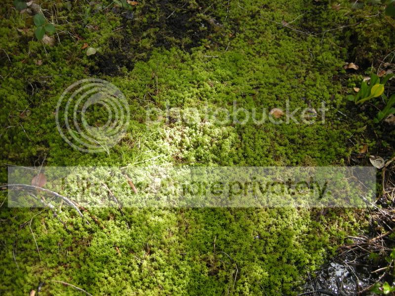 DSCN5948.jpg