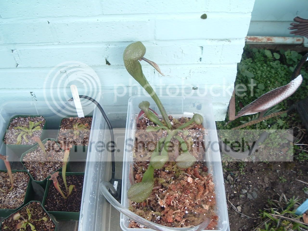 DSCF2078.jpg