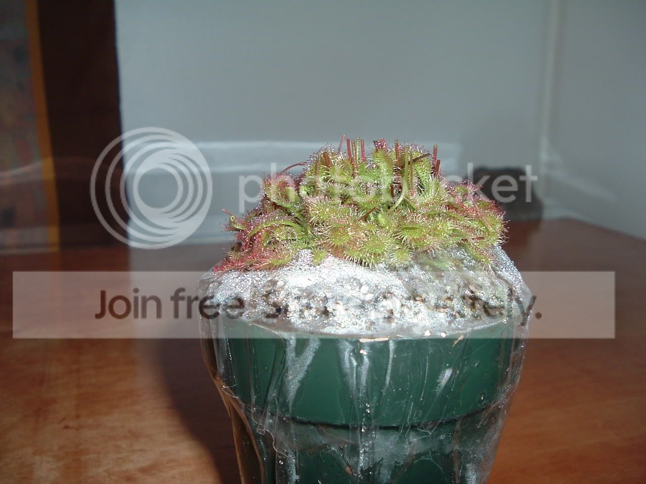 mostrecentpics030.jpg
