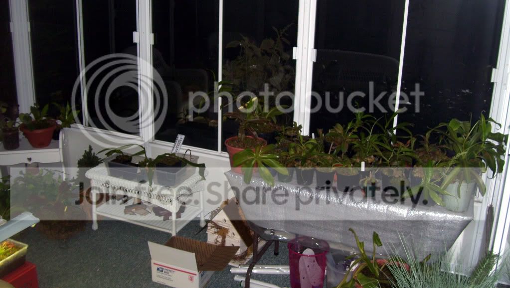 100_5459.jpg