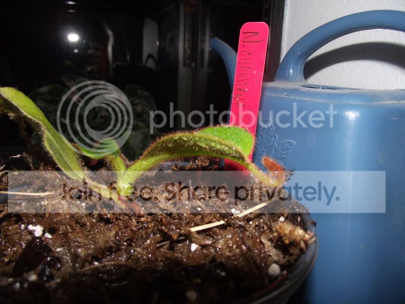 DSCF5473.jpg