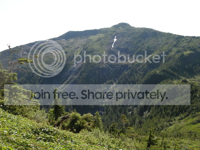 DSCN6251.jpg