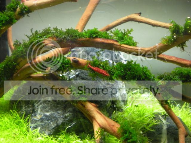DSCN3648.jpg