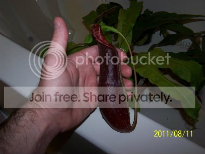 100_5035.jpg