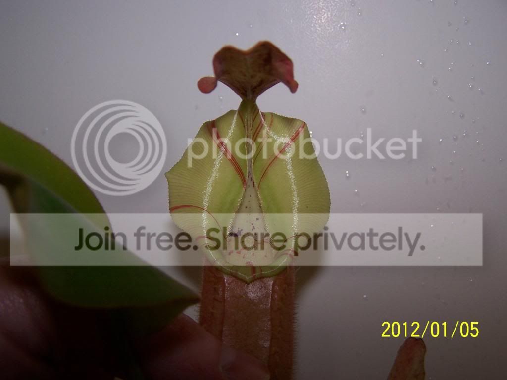 100_5732.jpg