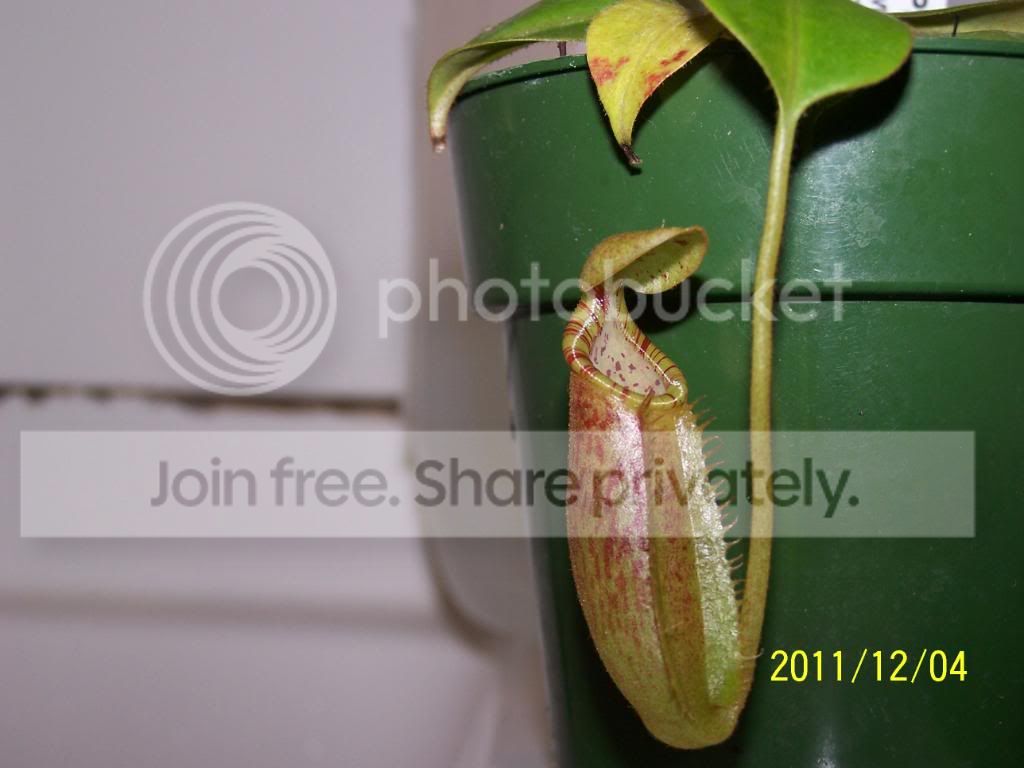 100_5594.jpg