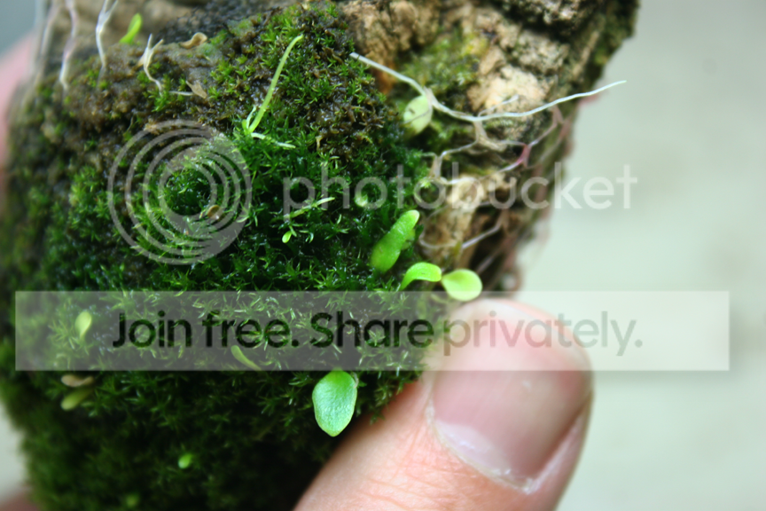 IMG_5755_zps631e0393.png