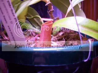 100_00061.jpg