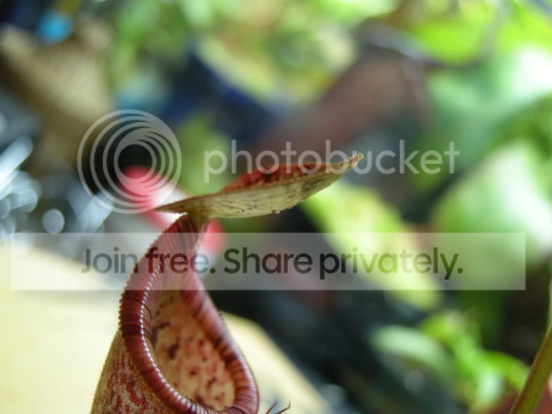DSCN6860.jpg
