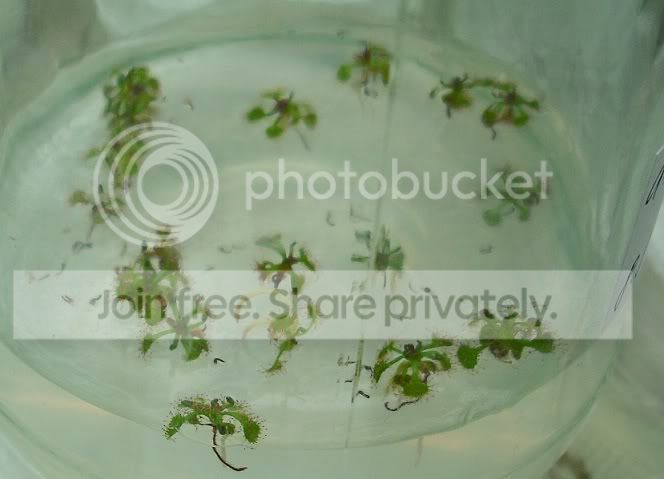 DSCF0022-1.jpg