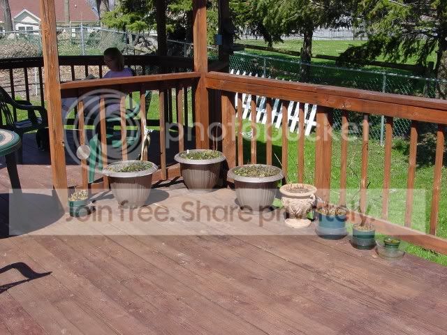 CP2008-111.jpg