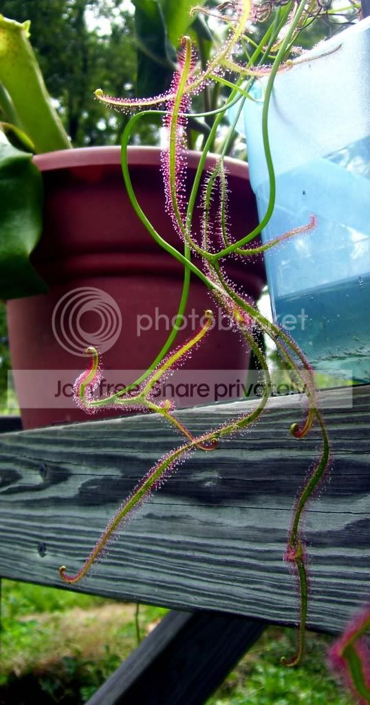 100_5140.jpg