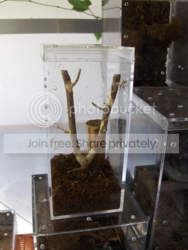 HPIM3771.jpg