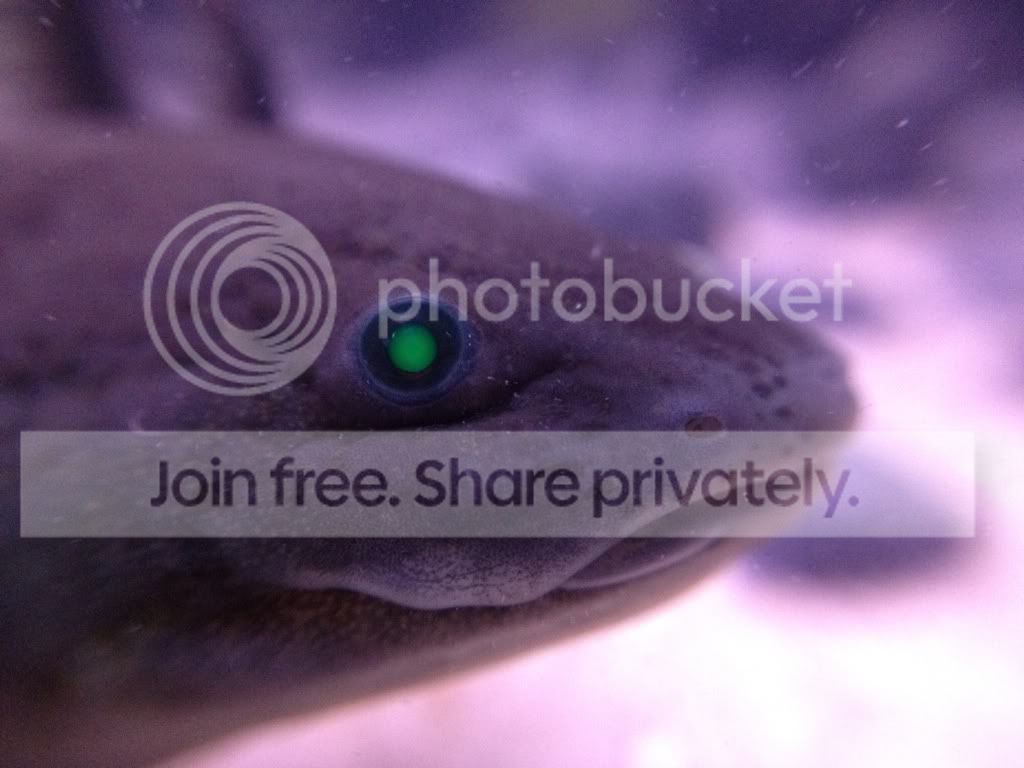 3210556b.jpg