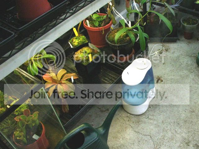 Growroom10.jpg