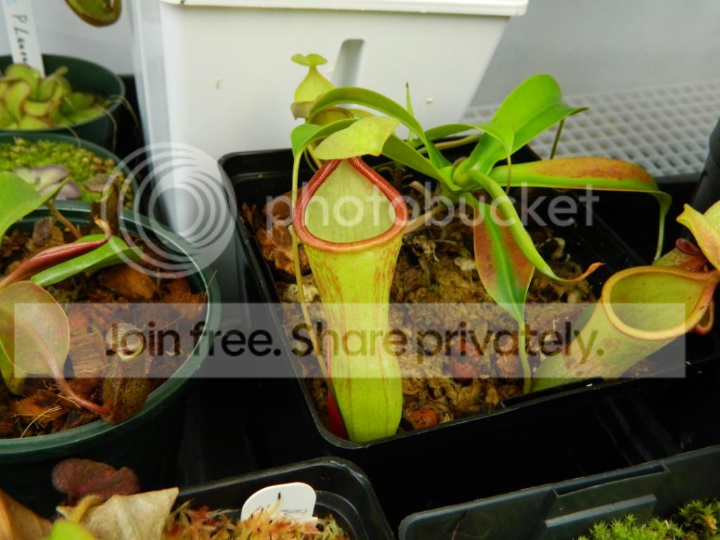DSCN1605.jpg