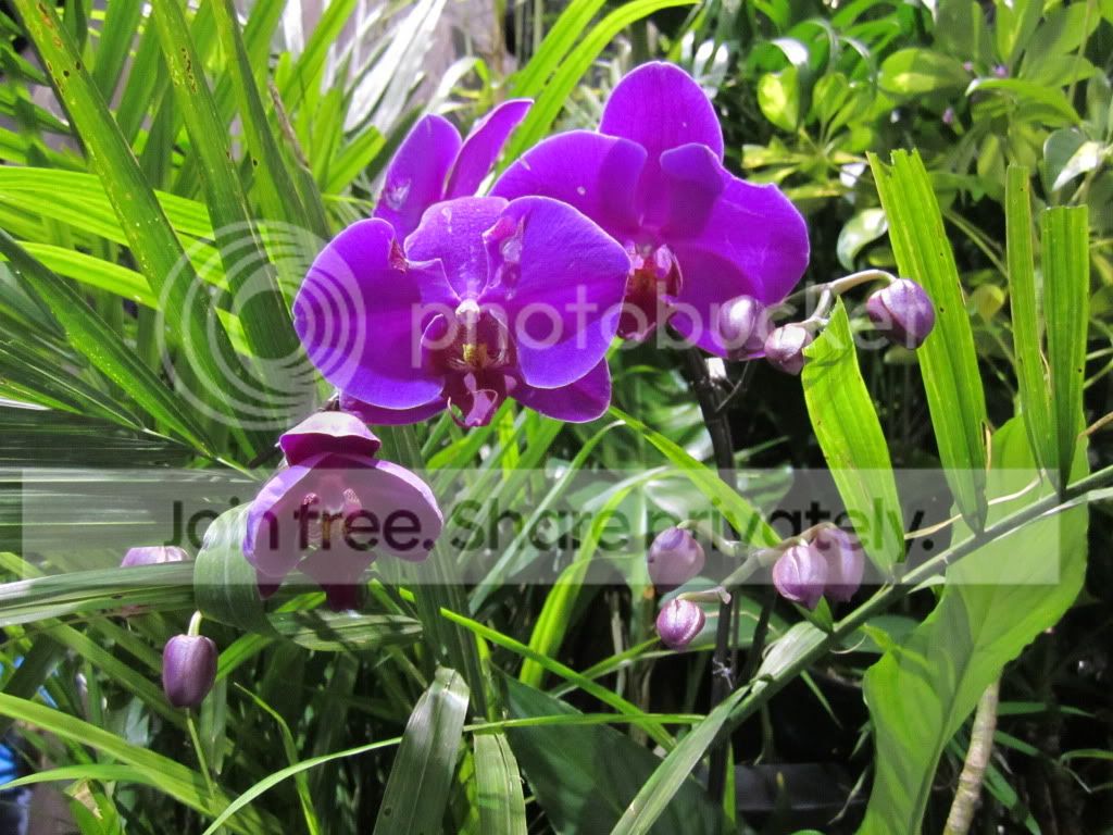IMG_5075.jpg