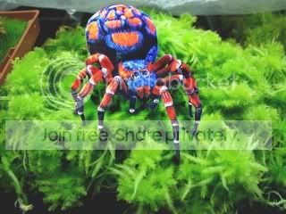 SpiderSm.jpg