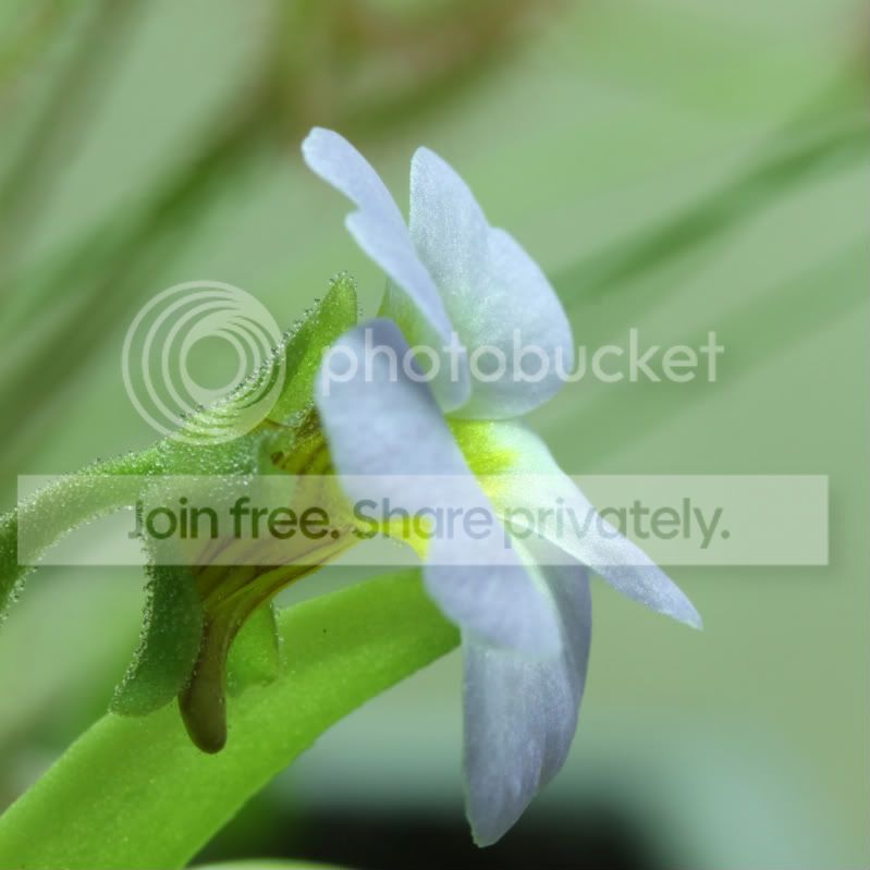 IMG_0227EF.jpg