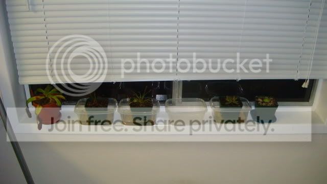 Window.jpg