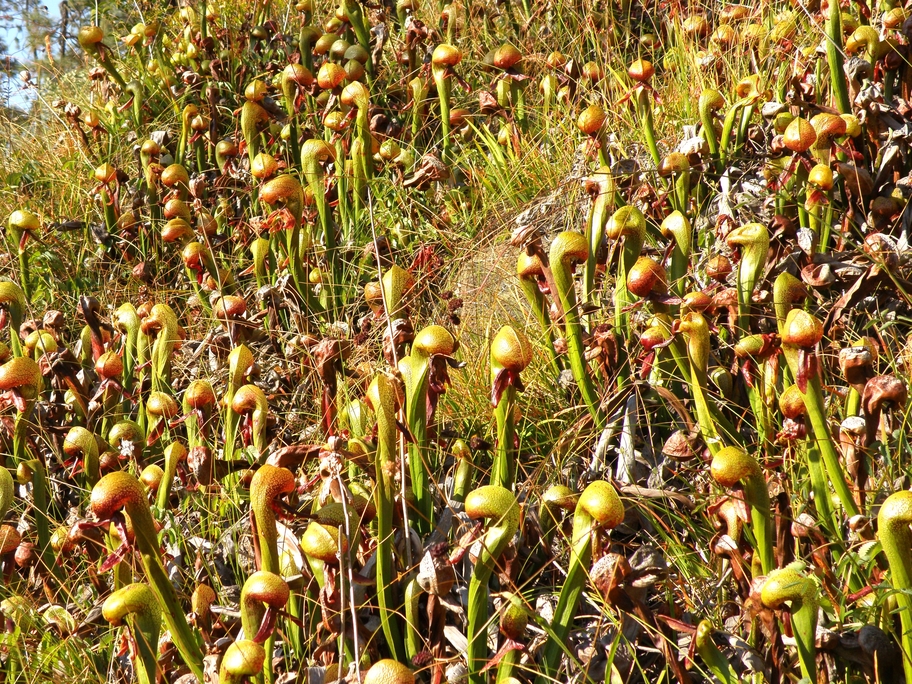 PA190861.jpg