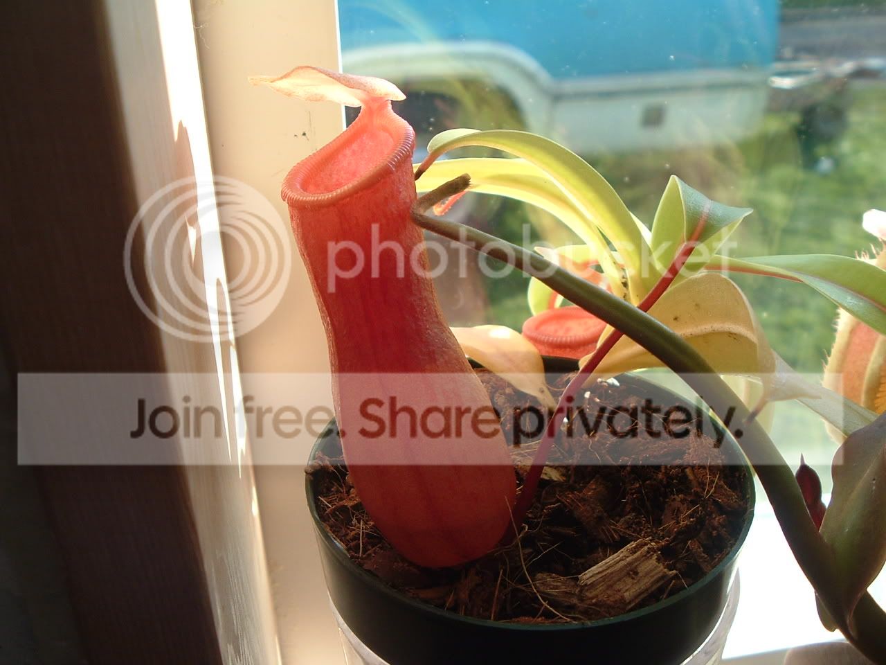 DSCF2584.jpg