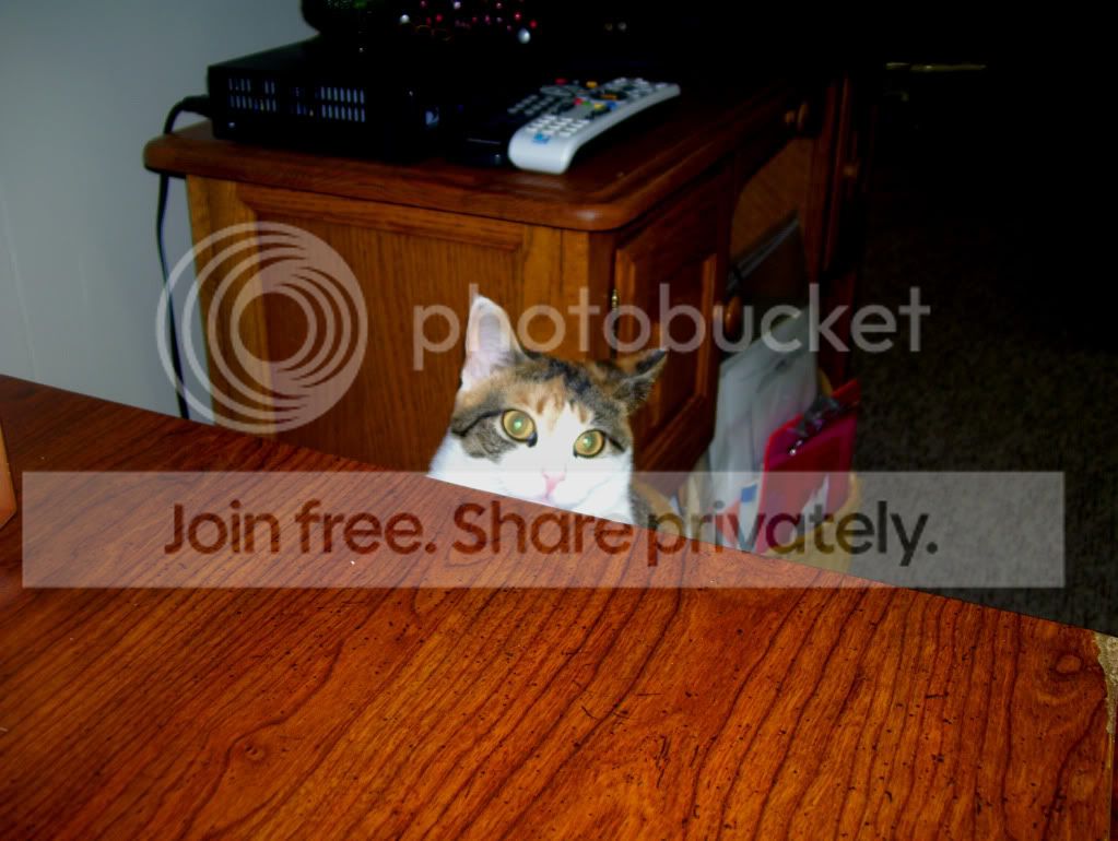 100_6394.jpg