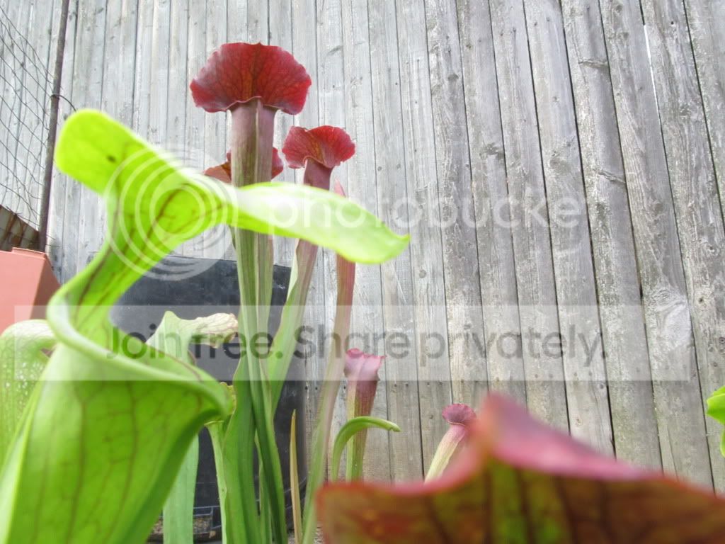 IMG_4863.jpg